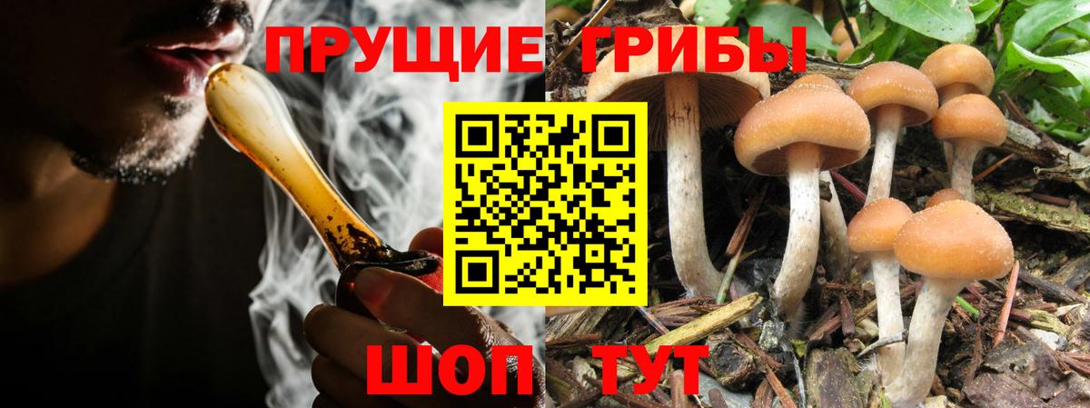 Галлюциногенные грибы MAGIC MUSHROOMS  Вход с VPN  Прокопьевск 